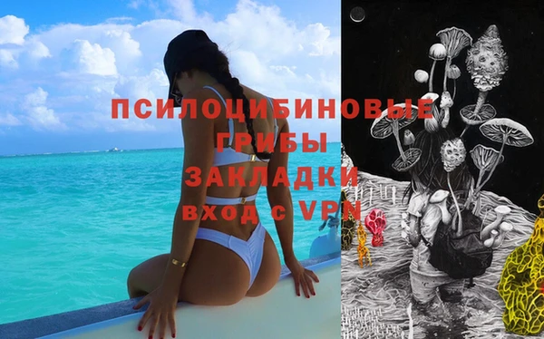 mdma Бородино