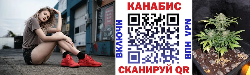 наркошоп  Жуков  Марихуана сатива 